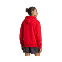 Adidas Essentials French Terry Big Logo Hoodie M IC9365 (2XL)
