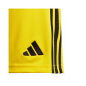 Adidas Tiro 24 Jr IT2410 shorts (128cm)