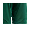 Adidas Tiro 24 Jr IT2409 shorts (116cm)