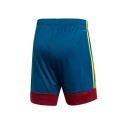 Adidas Tastigo 19 M DU4411 shorts (164)