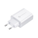 FORCELL F-ENERGY TFK-TC-25WPD travel charger Type C + cable Type C to Type C PD Q.C 3A 25W white