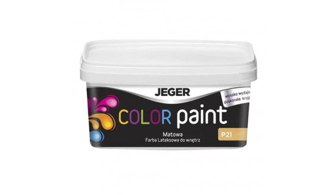 PAINT JEGER COLOR 1L GREY