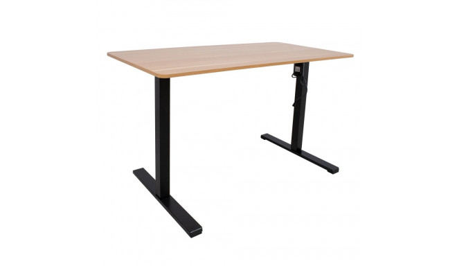 Desk ERGO OPTIMAL with 1 motor 120x60cm, oak/black