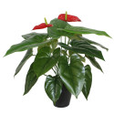 Kunsttaim ANTHURIUM, H45cm, flamingolill, must pott