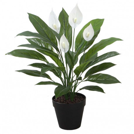 Artificial plant WIND SPATHE H60cm