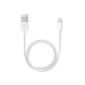 Apple Lightning to USB Cable 1m Model A1480