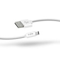 SBS Polo Collection Type-C data cable and charger