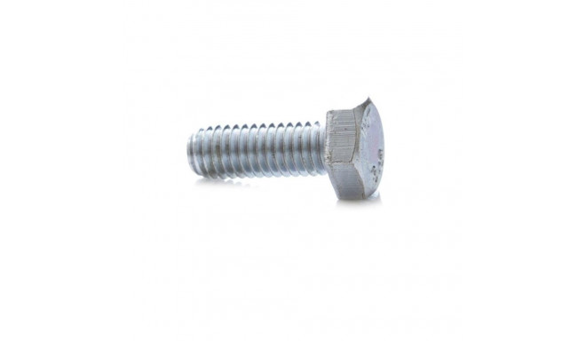 BOLT A2 M8x80 DIN933 10 tk