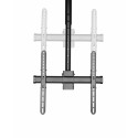 Televiisori Alus Neomounts NM-C440BLACK         32-60" 50 kg