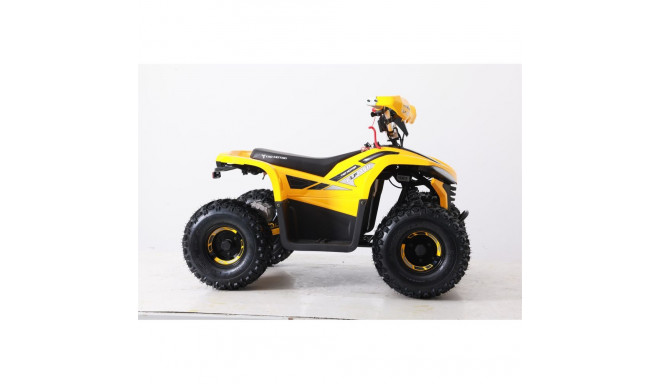 ATV ELF750 kollane, elektrimootor 750W