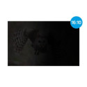 Privacy Filter Natec OWL 15.6" 16:10