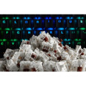 Glorious Gateron Brown Switches (120 pieces)