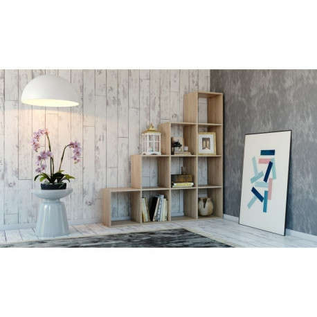 Topeshop STEP SONOMA 4X4 elutoa raamaturiiul