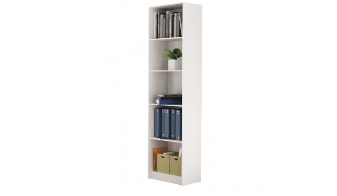 Topeshop R50 BIEL office bookcase