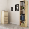 Topeshop R50 ARTISAN office bookcase