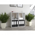 Topeshop MALAX 2X2 BIEL living room bookcase