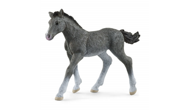 SCHLEICH HORSE CLUB Trakehner Foal