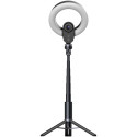LORGAR Circulus 910, Streaming web camera, 5MP 2592X1944 max resolution, up to 60fps, 1/2.8", Sony S