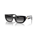 Ladies' Sunglasses Jimmy Choo JC 5017 Ladies' Sunglasses Jimmy Choo JC 5017
