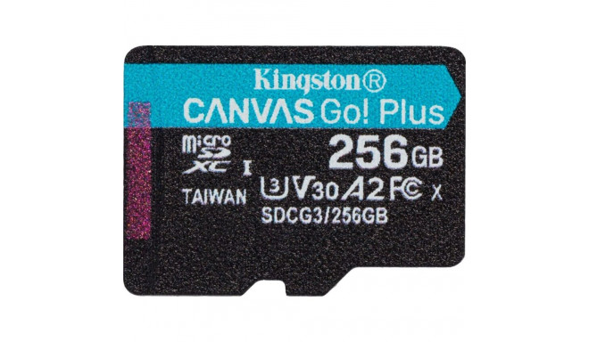 Kingston Canvas Go! Plus MicroSDXC 256 GB Klass 10 UHS-I/U3 A2 V30 (SDCG3/256GBSP)