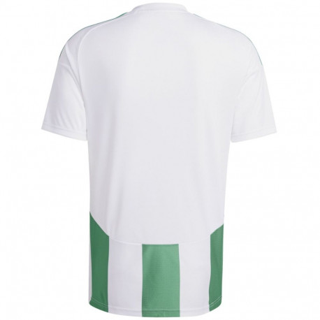 adidas meeste särk Striped 24 IW2148 2XL, valge-roheline