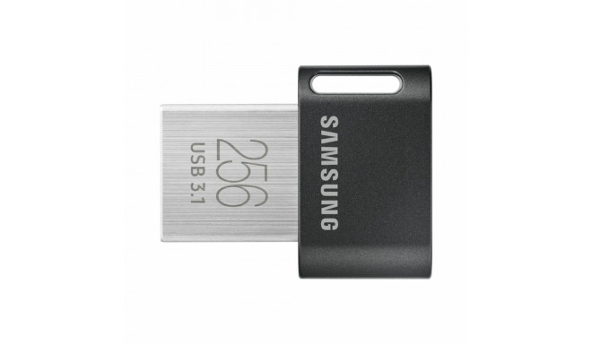 USB-pulk Samsung MUF-256AB/APC Hõbedane 256 GB