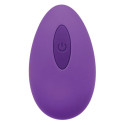 Bullet Vibrator Playboy Purple