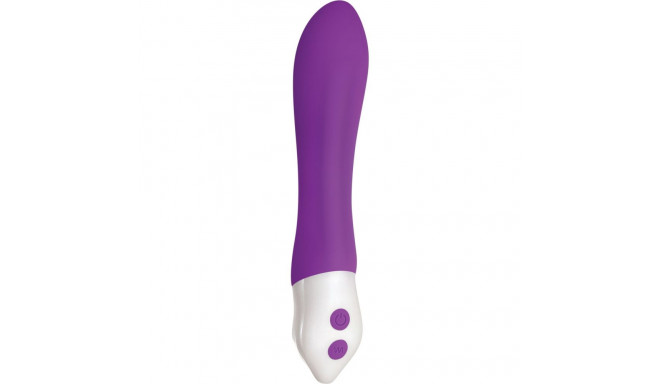 Bullet Vibrator Evolved Purple