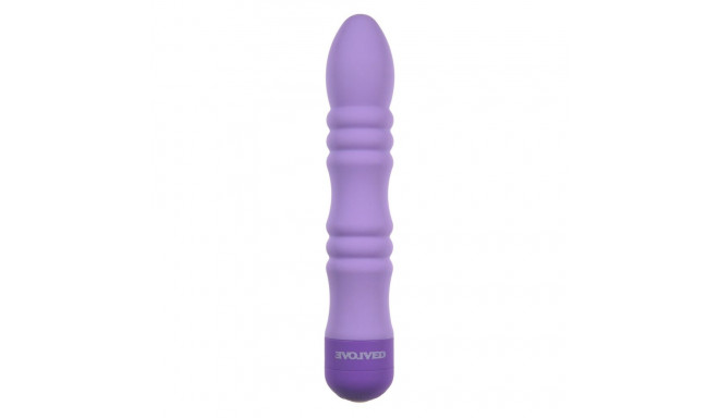 Bullet Vibrator Evolved Purple