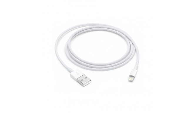 Apple Lightning to USB Cable (1m)