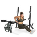 Proform Olympic bench with Sport XT stands