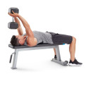 Proform Carbon Strength PFBE09620 horizontal bench