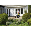 Kärcher BLV 18-200 Battery Cordless leaf extractor/blower