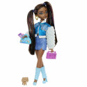 Barbie Dream Besties “Brooklyn' Doll and Accessories