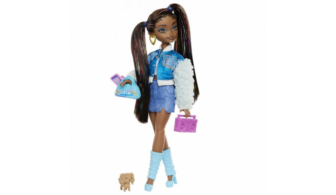 Barbie Dream Besties “Brooklyn' Doll and Accessories