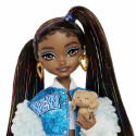 Barbie Dream Besties “Brooklyn' Doll and Accessories