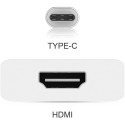 Techly Converter Cable Adapter USB 3.1 Type C to HDMI 1.4