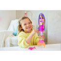Barbie A Touch of Magic Doll and Accessories