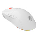 Zircon XIII Custom | Wireless | Gaming Mouse | 2.4 GHz, USB | White
