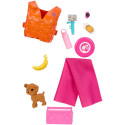 Barbie Doll and Accessories