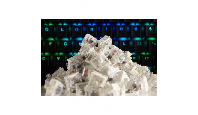 Glorious PC Gaming Race KAI-SILVER input device accessory Keyboard switches