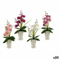 Decorative Flower Orchid Plastic 14 x 35 x 8 cm (12 Units) Decorative Flower Orchid Plastic 14 x 35 x 8 cm (12 Units)
