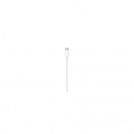 Apple lightning cable 2 m White