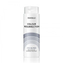 MONTIBEL-LO COLOUR RESURRECTION TRATAMIENTO SILVER 150ML