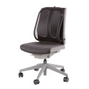 Fellowes Back Support for Office Chair - Office Suites Mesh Back Support with Mesh Fabric - H51.28 x