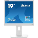 iiyama ProLite B1980D-W5 computer monitor 48.3 cm (19&quot;) 1280 x 1024 pixels SXGA LCD White