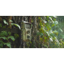 Redleaf trail camera RF06