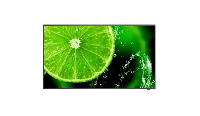 NEC MultiSync E498 124.5 cm (49") IPS 350 cd/m² 4K Ultra HD Black 16/7