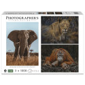 Ambassador Wildlife Eye Contact 3x 1000 Pieces (Donal Boyd)