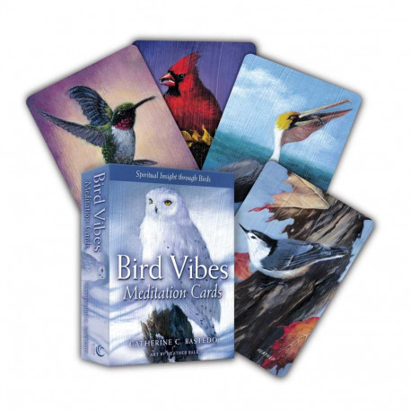 Meditation Cards Bird Vibes Beyond Woords